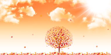 arka plan akçaağaç sonbahar yaprakları