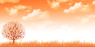 arka plan akçaağaç sonbahar yaprakları