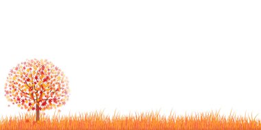 arka plan akçaağaç sonbahar yaprakları