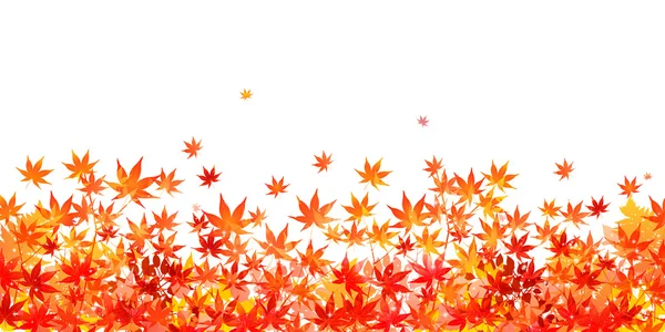 arka plan akçaağaç sonbahar yaprakları