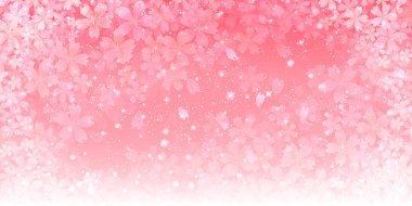 Bahar kiraz arka plan