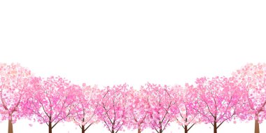 Kiraz çiçekleri bahar manzara arka plan