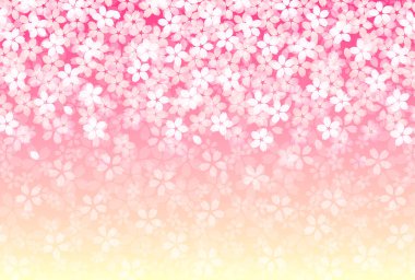 Japon Kalıplı Kiraz Çiçekleri Nhojo Bahar Arkaplanı