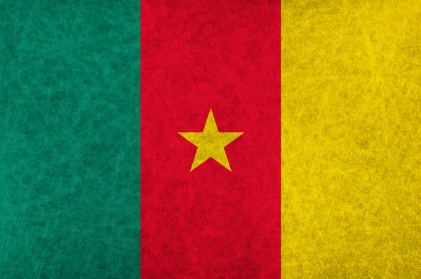 Σημαία του Καμερούν εθνική σημαία χώρας — Διανυσματικό Αρχείο
