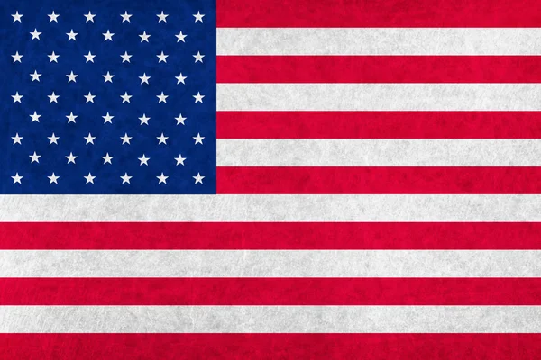 Amérique drapeau du pays du drapeau national — Image vectorielle