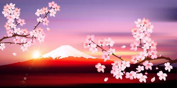 Fuji printemps cerisier arrière-plan — Image vectorielle