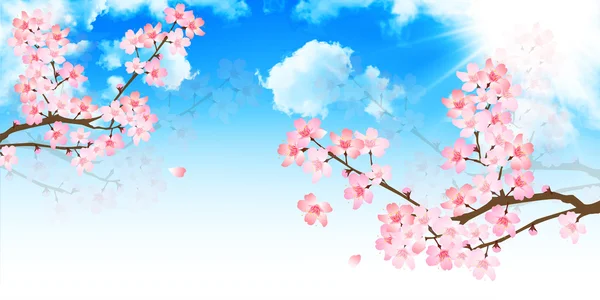 Tavaszi cseresznyevirág háttér — Stock Vector