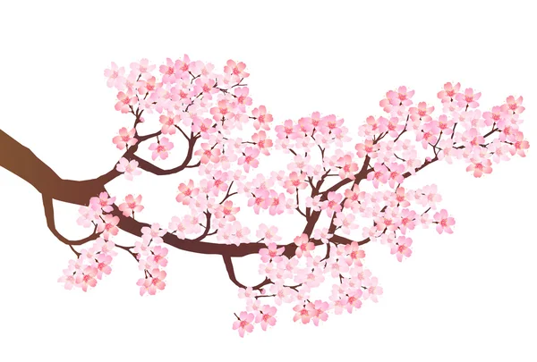 Ikona třešňový květ jaro — Stockový vektor