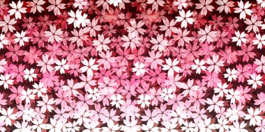 Bahar kiraz çiçeği arka planı