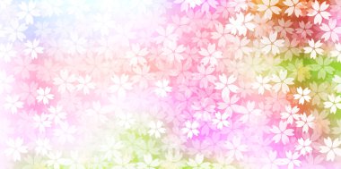 Bahar kiraz çiçeği arka planı