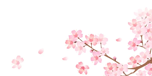 春日樱花背景 — 图库矢量图片