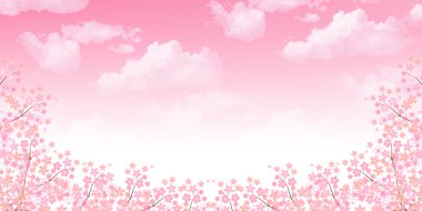 Bahar kiraz çiçeği arka planı