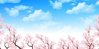 Bahar kiraz çiçeği arka planı