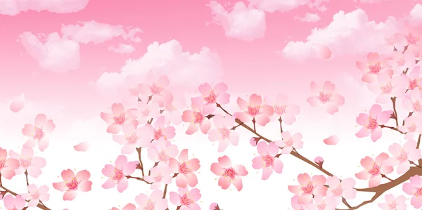 Primavera Fondo de flor de cerezo — Vector de stock