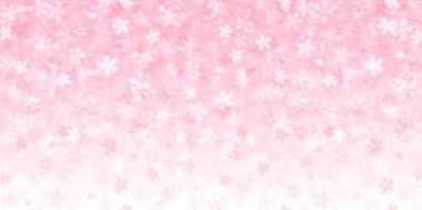 Bahar kiraz çiçeği arka planı