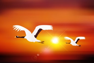 Horoz gündoğumu yeni yıl kartı arka plan