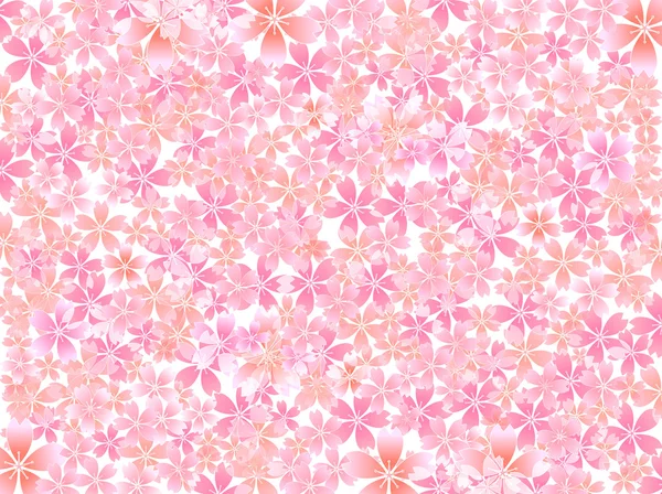 Spring cherry blossom background — Stock Vector