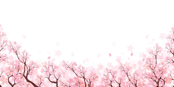 Primavera flor de cerejeira fundo — Vetor de Stock
