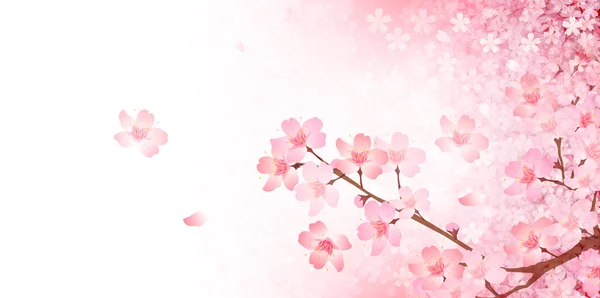 Sky cherry tree landscape background — Stock Vector