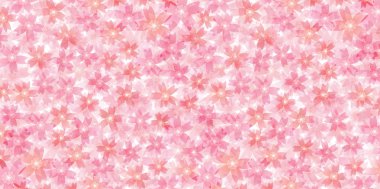 Bahar kiraz çiçeği arka planı