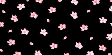 Bahar kiraz çiçeği arka planı