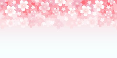 Bahar kiraz çiçeği arka planı