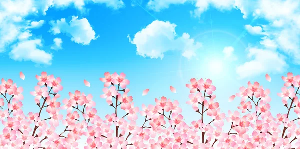 Primavera Fondo de flor de cerezo — Vector de stock