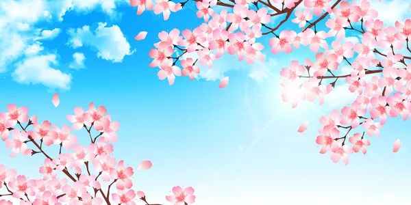 봄 벚꽃 배경 — 스톡 벡터