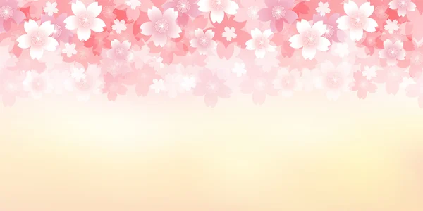 Spring cherry blossom background — Stock Vector