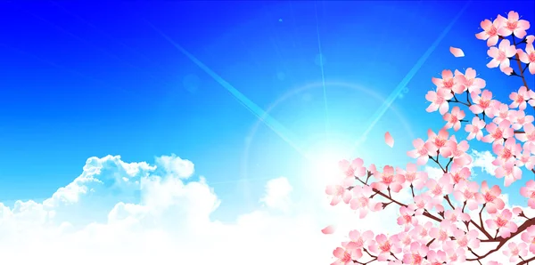 Весняний квітучий фон вишні — стоковий вектор