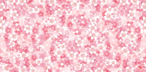 Spring cherry blossom background — Stock Vector