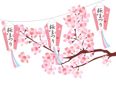 Cherry Blossom Festivali bahar arka plan