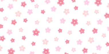 Bahar kiraz çiçeği arka planı