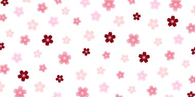 Bahar kiraz çiçeği arka planı