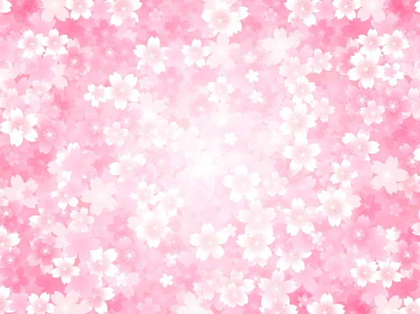 Spring cherry blossom background — Stock Vector