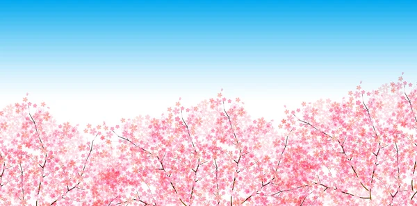 พื้นหลังดอกไม้ฤดูใบไม้ผลิเชอร์รี่ — ภาพเวกเตอร์สต็อก