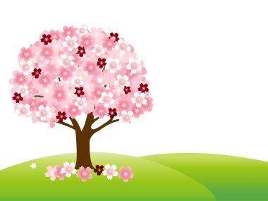 Kiraz bahar çiçek arka plan