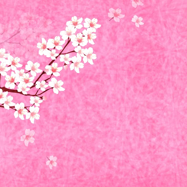 Cherry våren blomma bakgrund — Stock vektor