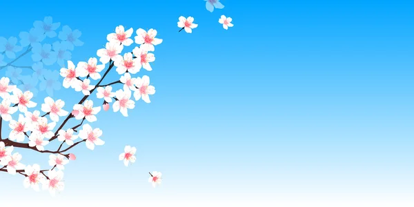 樱桃春天花背景 — 图库矢量图片