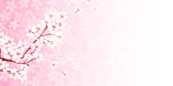 Cherry primavera fiore sfondo — Vettoriale Stock
