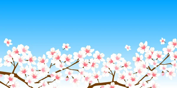 樱桃春天花背景 — 图库矢量图片