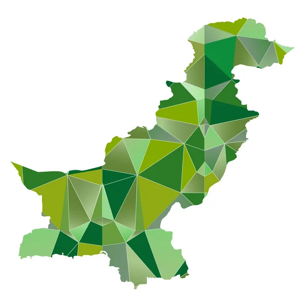 Pakistan harita ülke simgesi — Stok Vektör