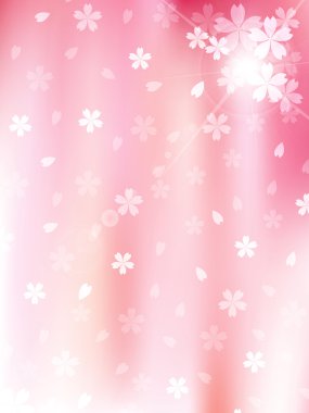 Kiraz bahar çiçek arka plan