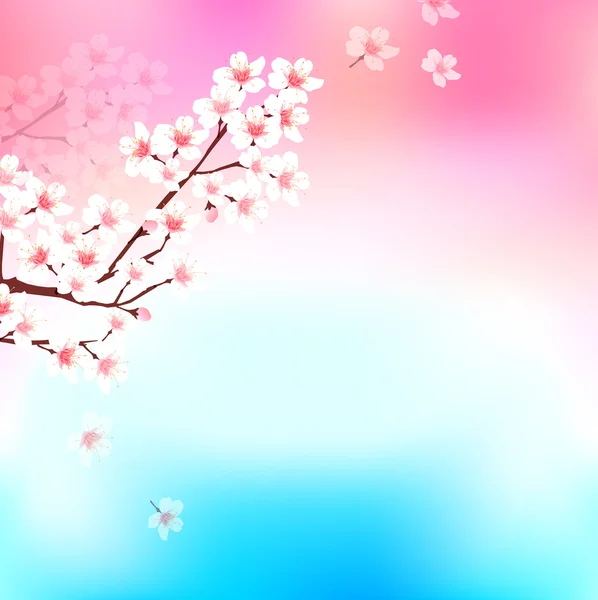 Cerise printemps fleur fond — Image vectorielle