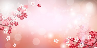 Kiraz bahar çiçek arka plan