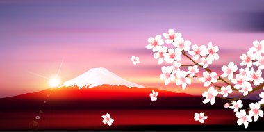 Kiraz Fuji bahar arka plan