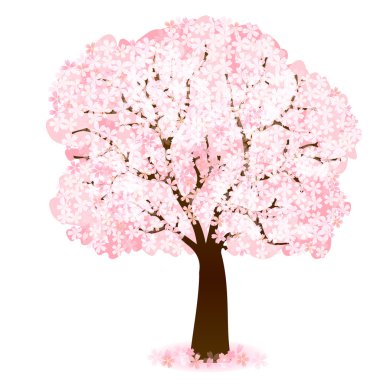 Kiraz bahar çiçek simgesi