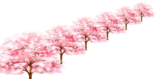 Třešeň jarní květinové pozadí — Stockový vektor