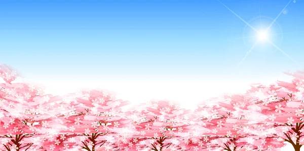 桜春の花背景 — ストックベクタ