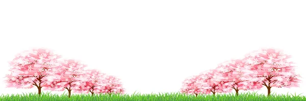 Fondo de flor de primavera de cereza — Archivo Imágenes Vectoriales